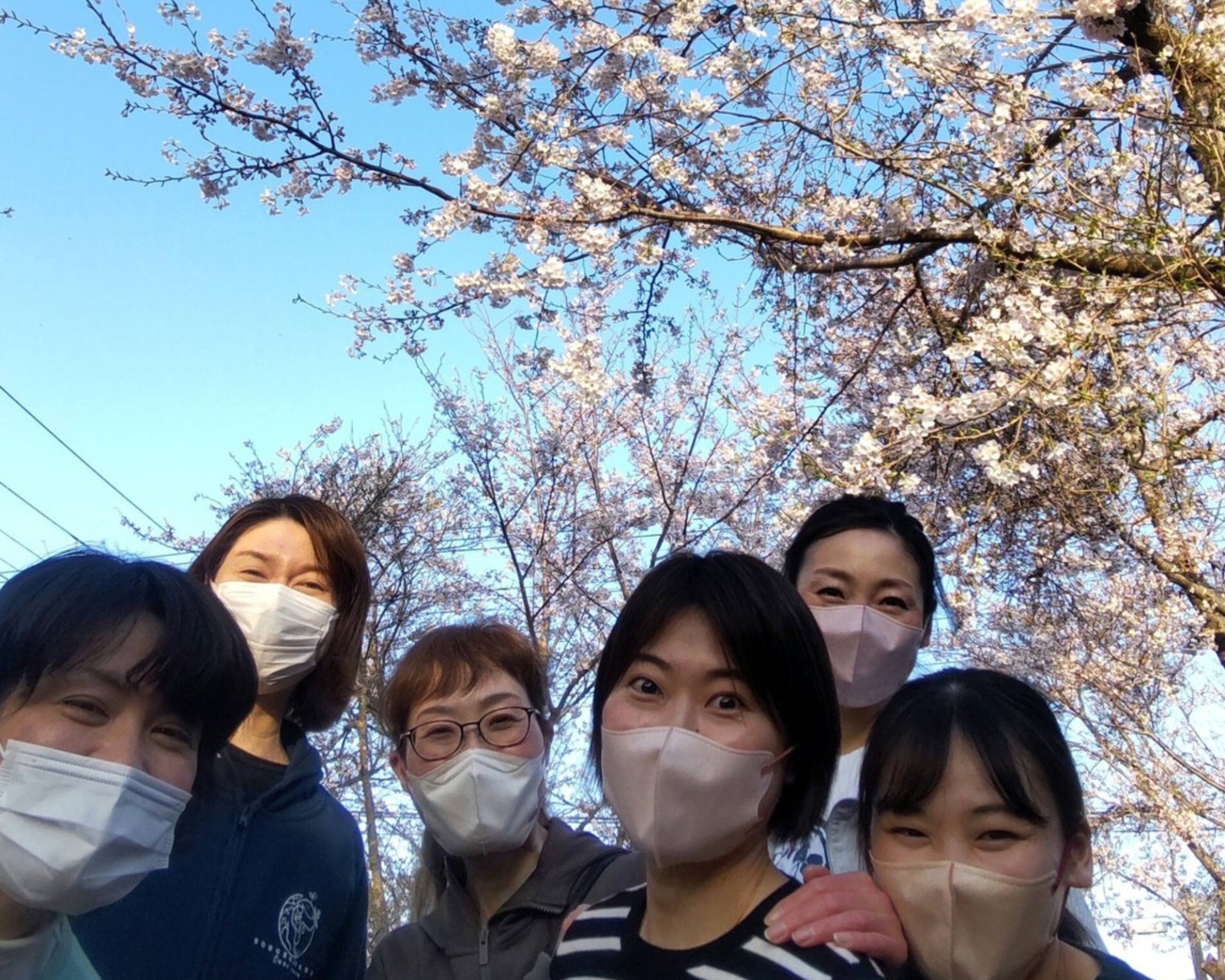 TOOTH FAIRY助成金に今年度も採択されました